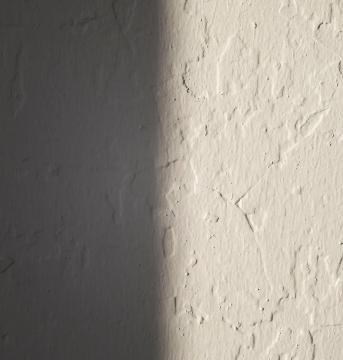 Textured wall in raking sunlight, half in shadow